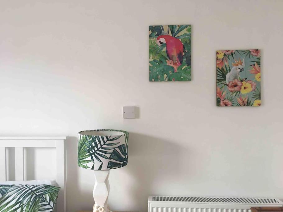 Bournemouth Cosy Retreat Apartment Luaran gambar